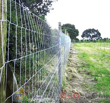 養(yǎng)殖場/養(yǎng)雞場護欄網 選擇、價格與專業(yè)廠家指南